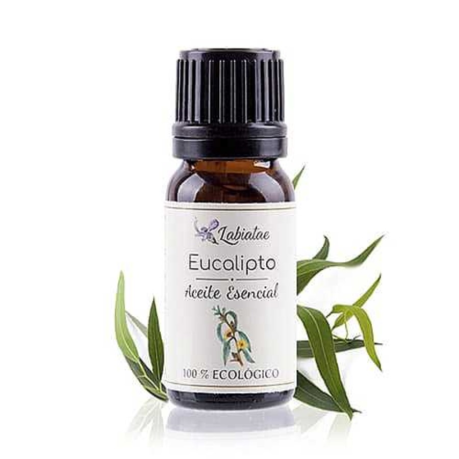 Cuidado Personal Labiatae Aceites Esenciales | Aceite Esencial De Eucalipto Ecol Gico | 12Ml