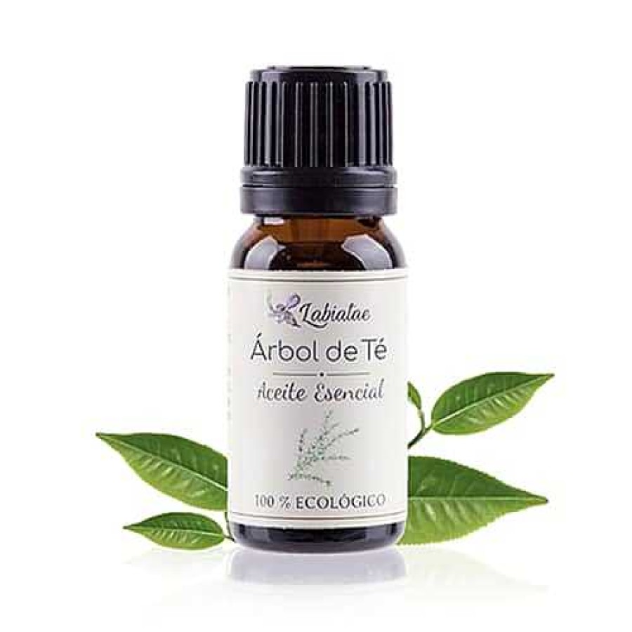 Cuidado Personal Labiatae Aceites Esenciales | Aceite Esencial De Rbol De T Ecol Gico | 12Ml